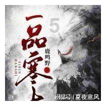 无忧国际wy6999